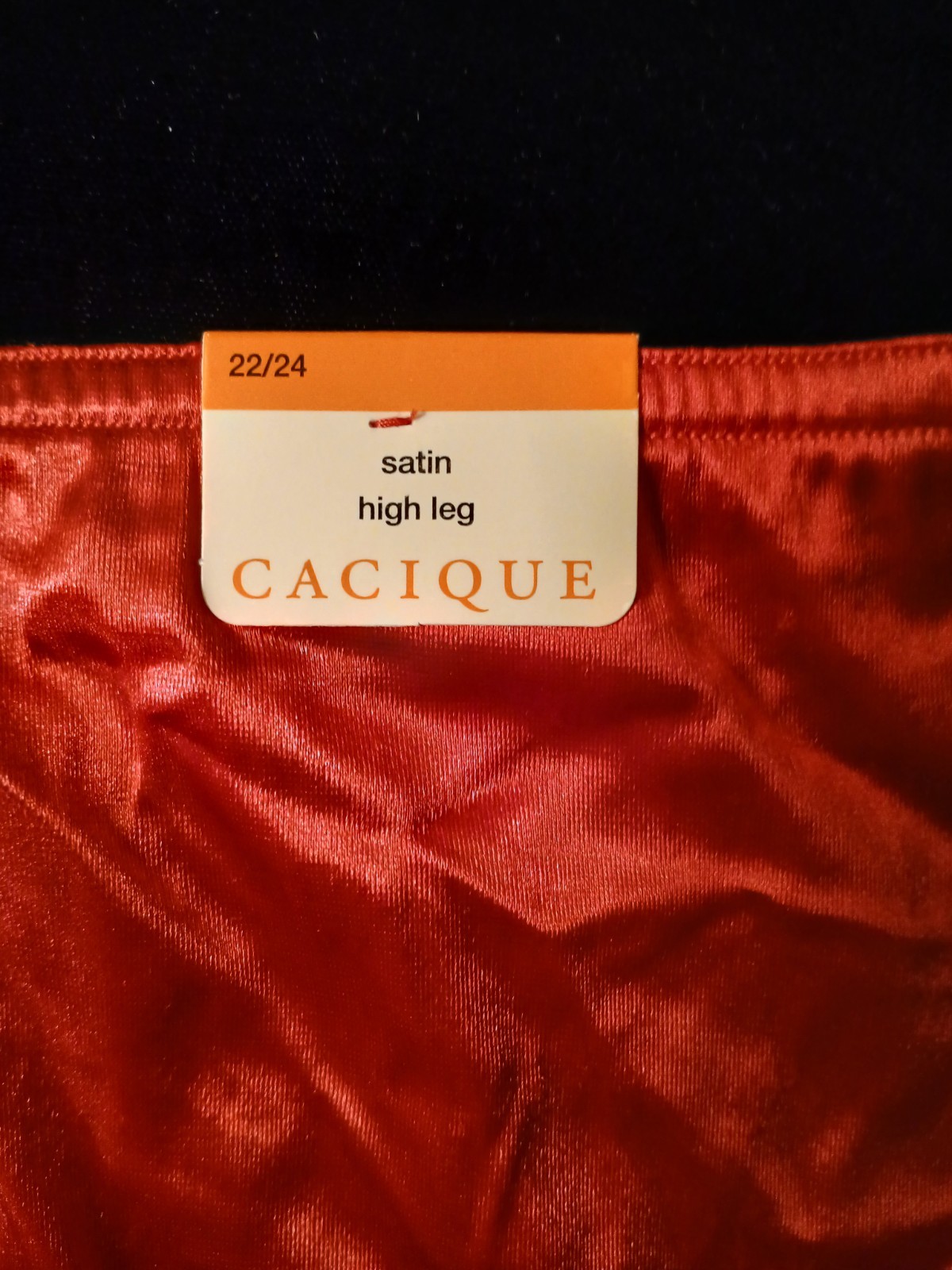 Vintage Layne Bryant Cacique Ruby Red Liquid Satin Hi-Cut Panties NWT 22/24 Plus