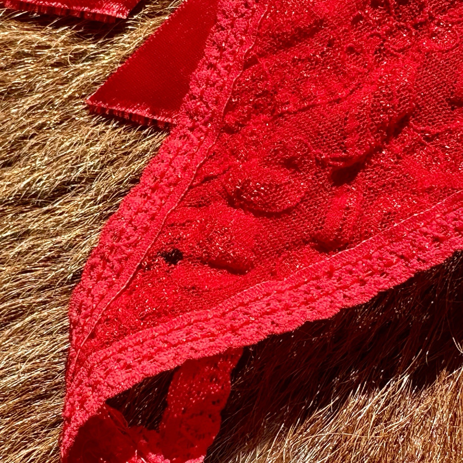 Vintage 90s Chic Red Lace Button Bow Thong Lingerie Bodysuit USA Ribbon Present