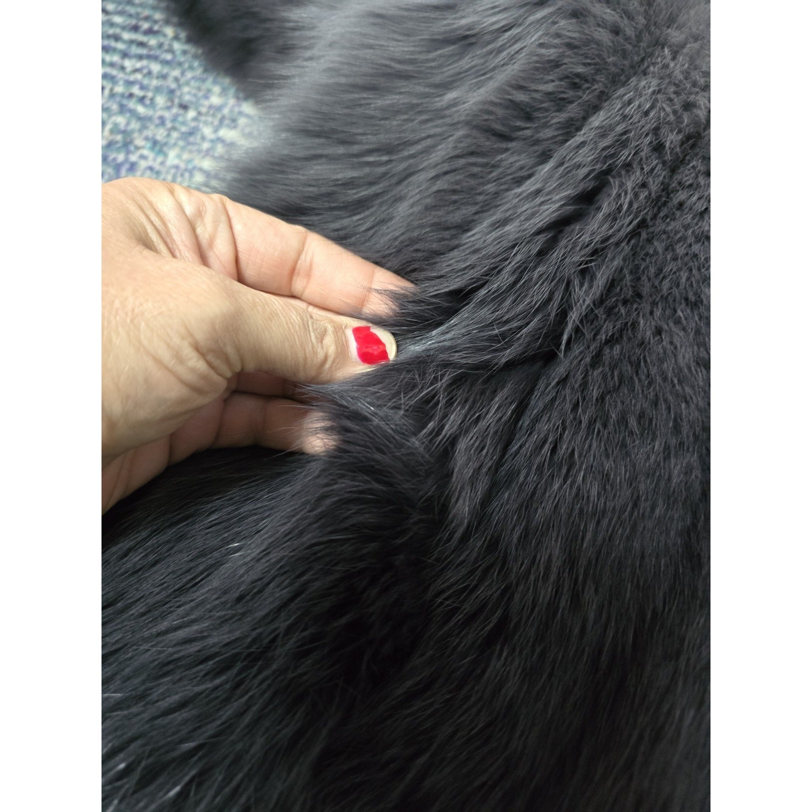 Vintage Ombre Silver Fox Fur Jacket, Impeccable, Flawless , Girls Deserve Fur