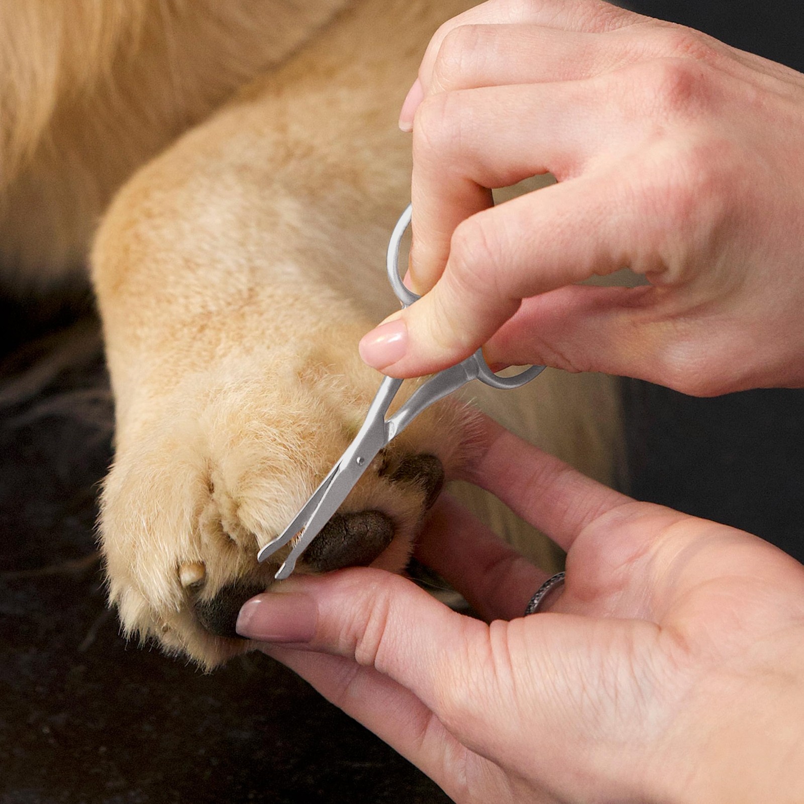Tweezerman Pet Grooming Scissors, Stainless Steel Rounded Tip Trimming Shears