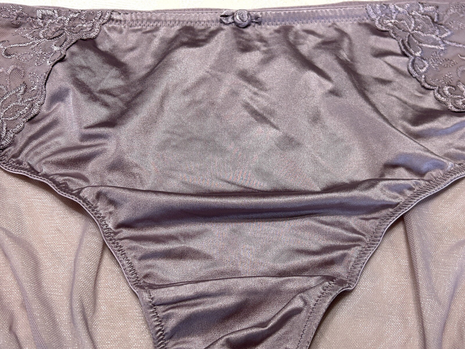 Vtg CACIQUE Second Skin Satin Embroidered Sheer Mesh 18/20 Brief Panties #162