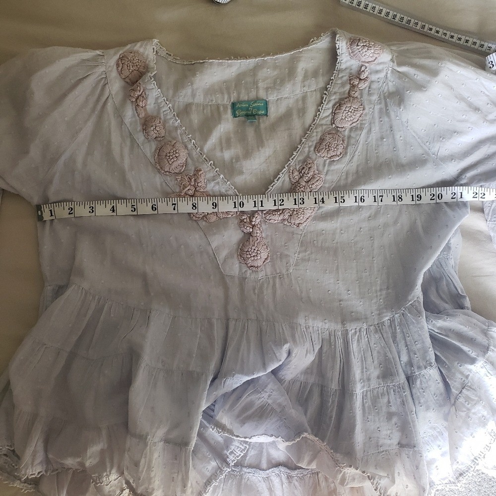 Antica Sartoria Baby Blue Peasant Blouse with Taupe Floral Embroidery One Size