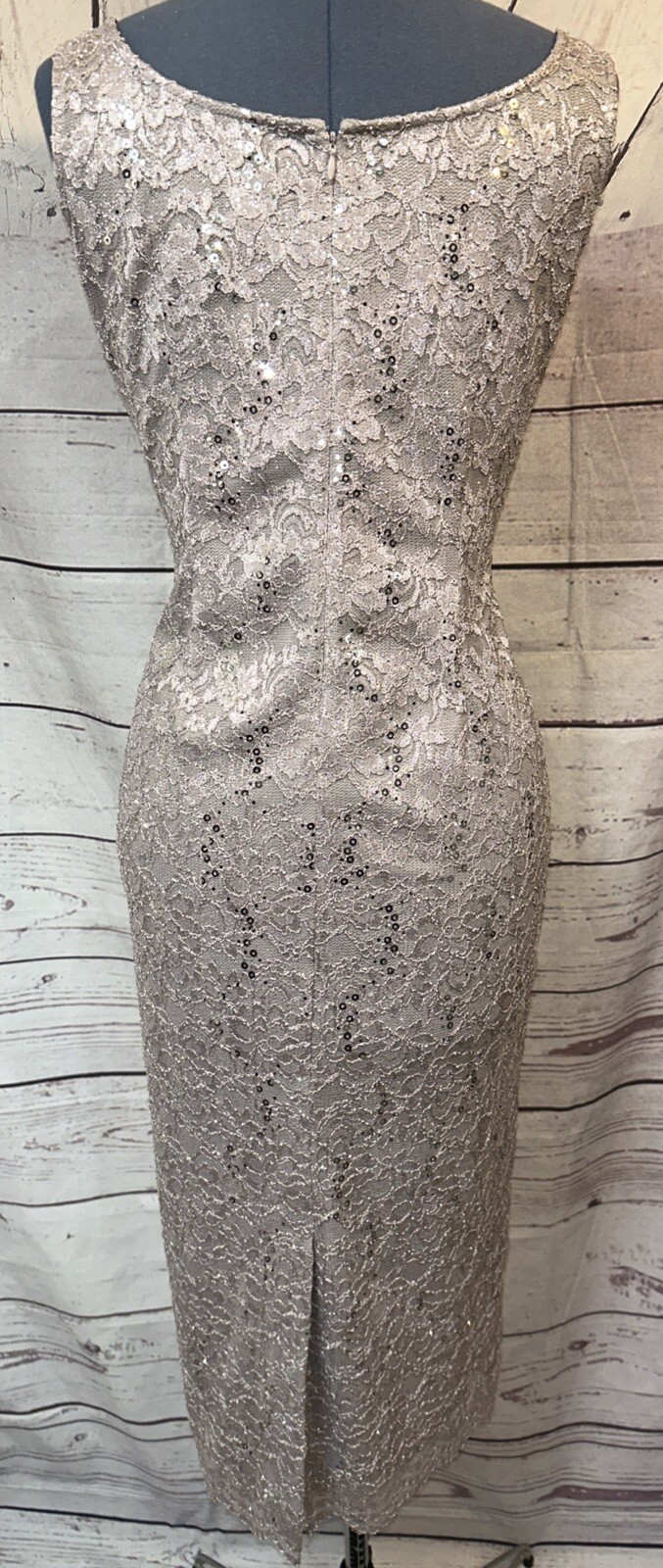 Alex Evenings 2-Piece Evening Sequin/Lace Dress Sliver Size 10