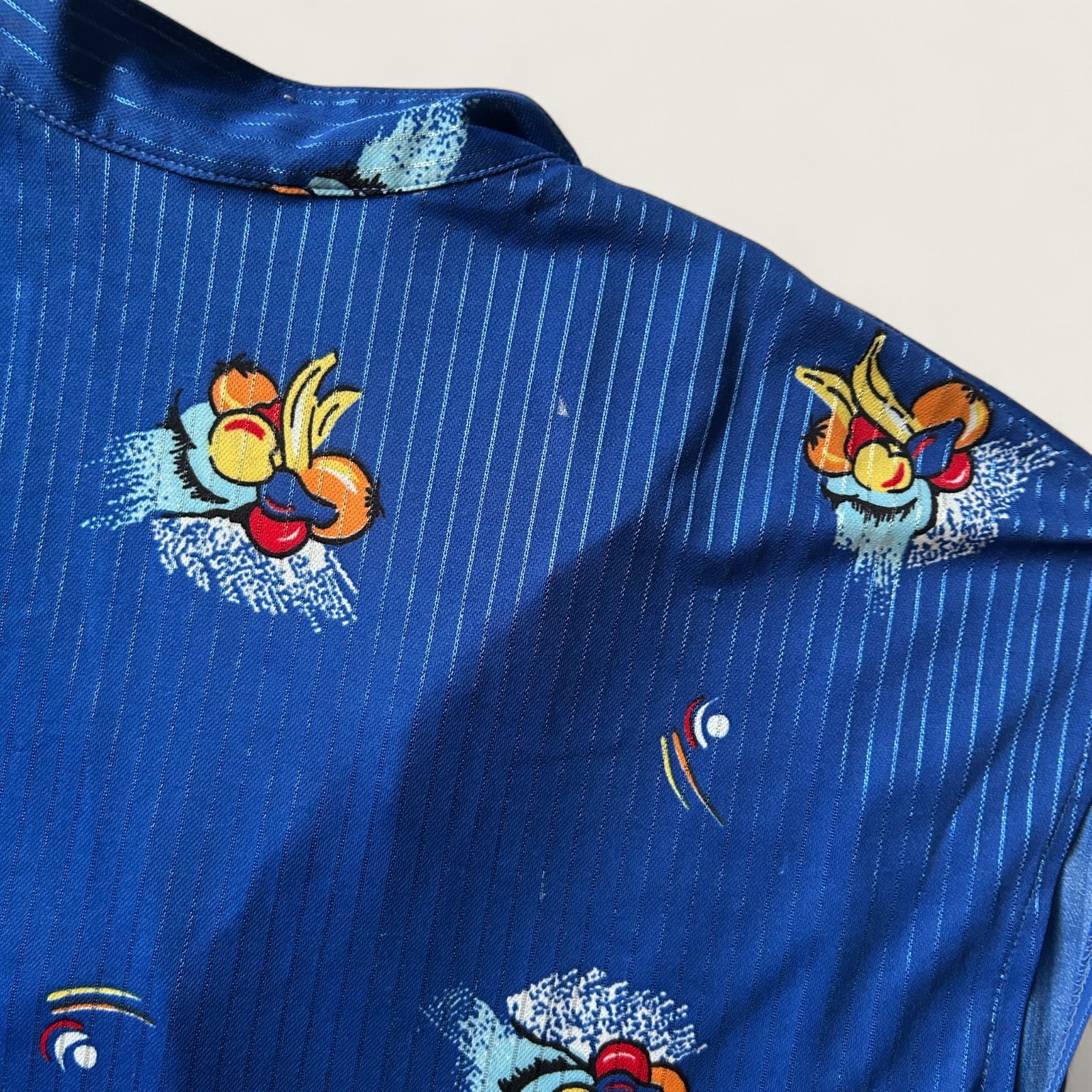 Alex Colman Sportswear Vintage Button-Up Blouse Blue Fruit Print Size Large L