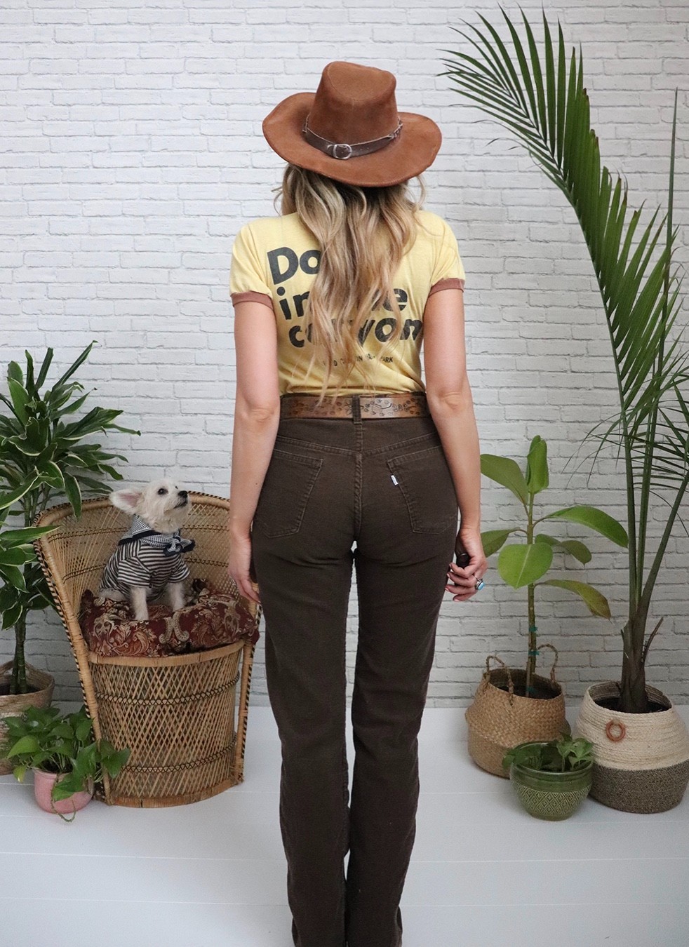 70s Brown Levi s Corduroys | 29 Waist x 33 Length | Vintage Deadstock Pants