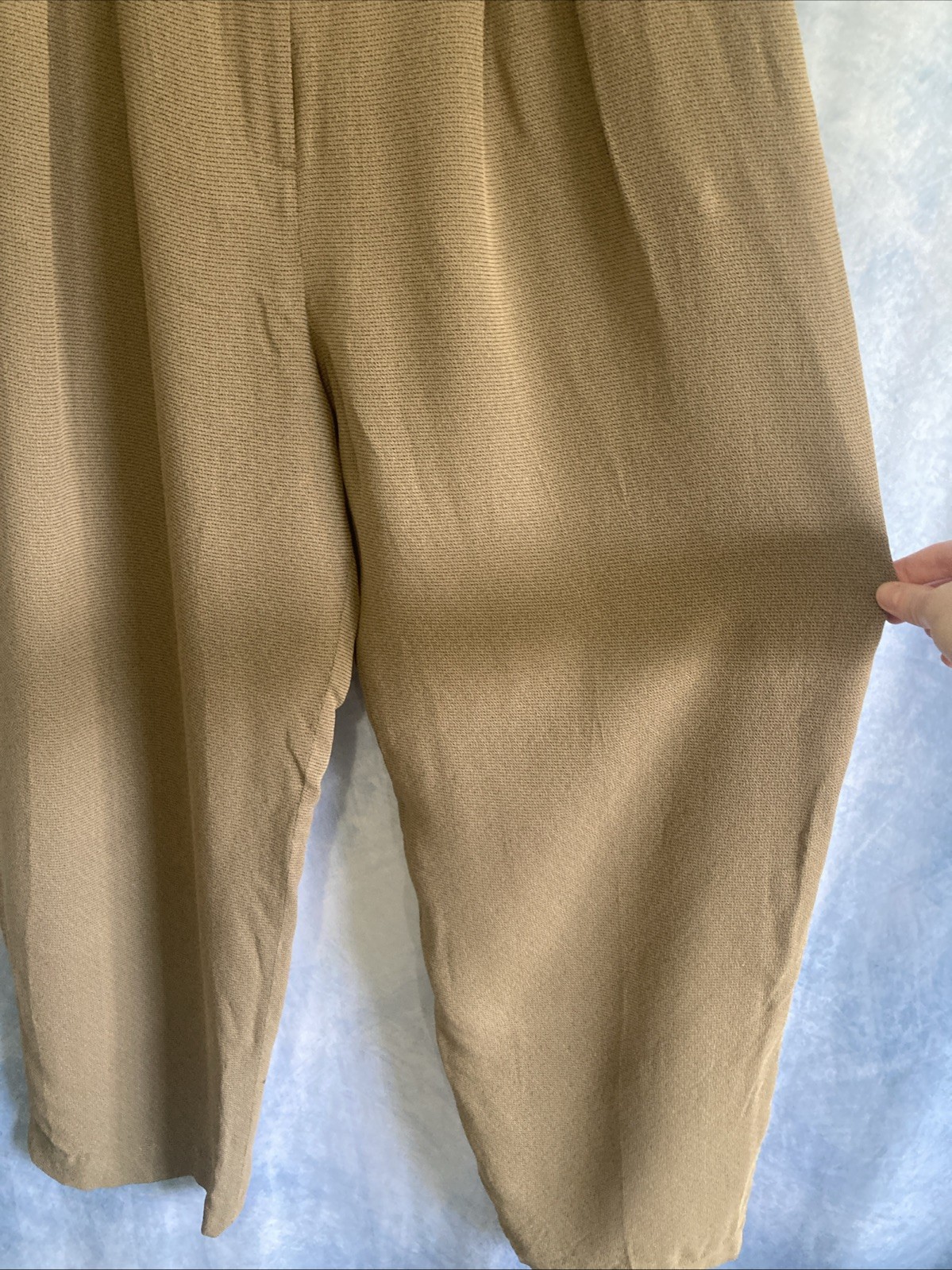 Vtg 90s Rena Rowan Saville Pleated Dress Pants Sz 10 Tan Rayon Acetate GUC