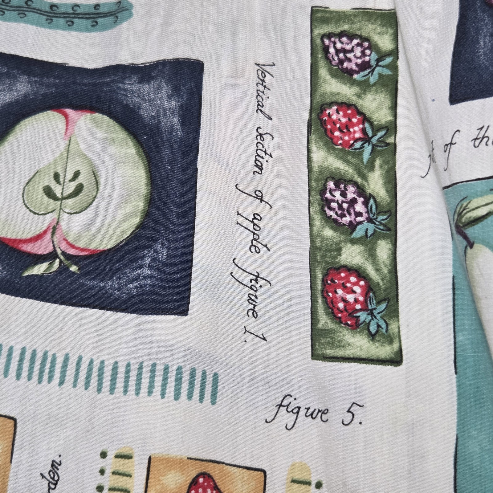 Vintage Fruit Print Blouse Button Up Cottagecore Gardencore Art Teacher Aesthet