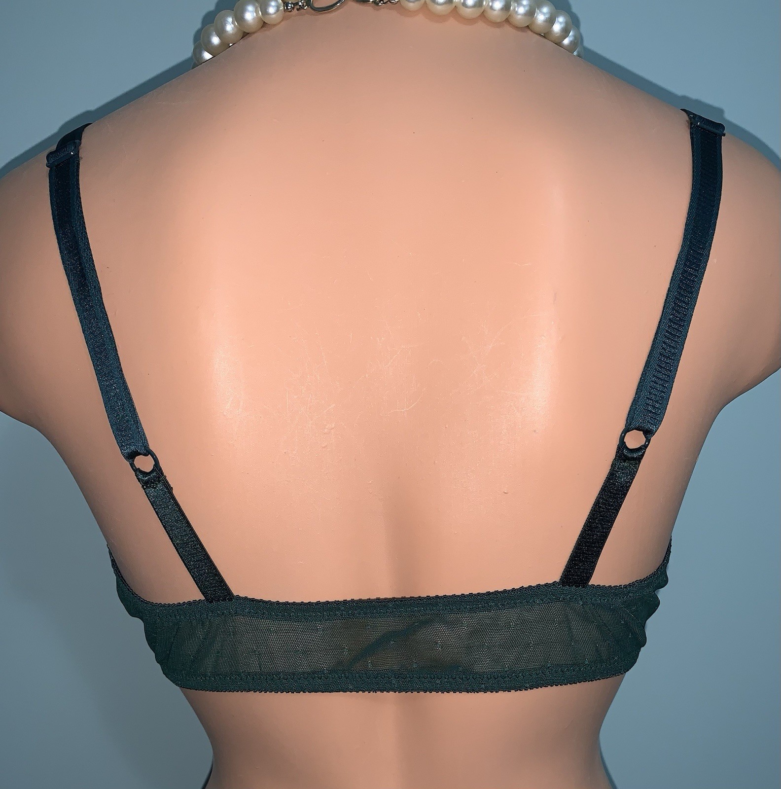 Vtg NEW SHEER Chiffon Lace Vanity Fair UW Bra 38C Front Closure NOS