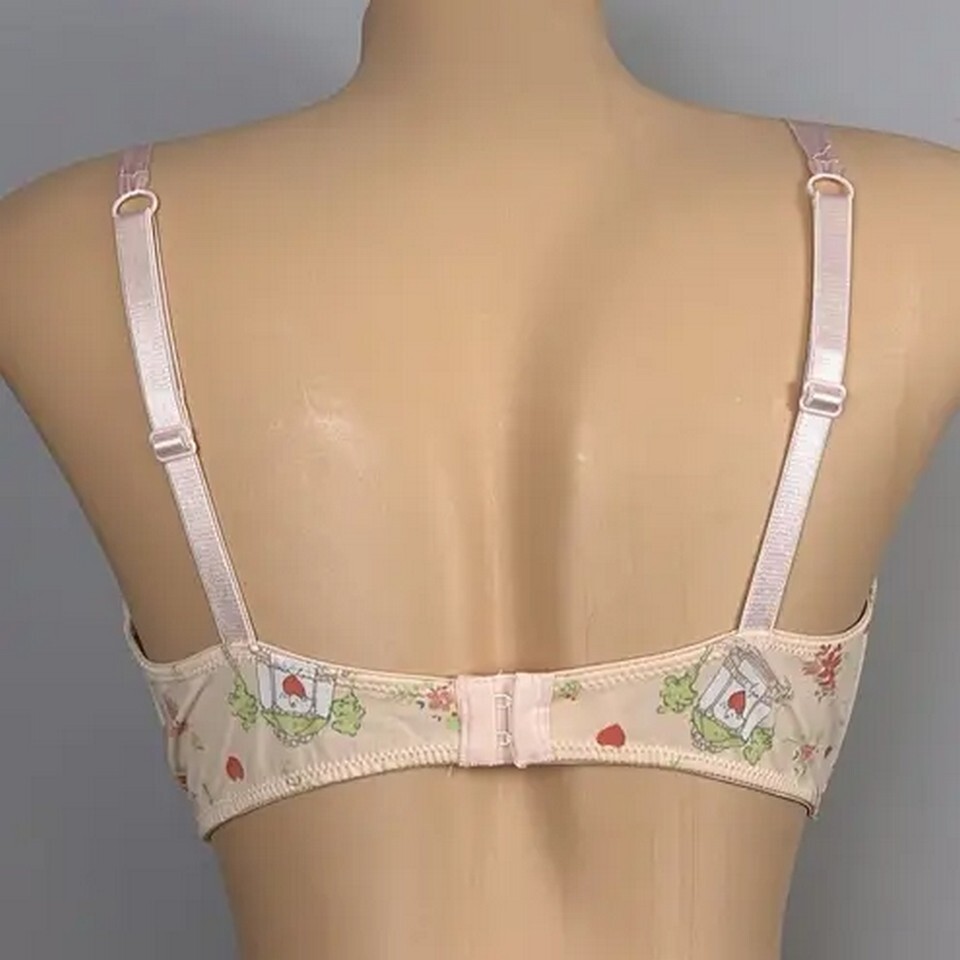 Hillard & Hanson 38D Intimates Coquette Romantic Feminine Rosette Balconette Bra
