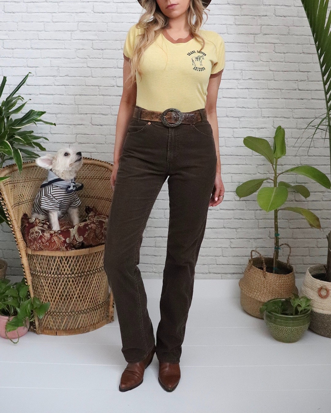 70s Brown Levi s Corduroys | 29 Waist x 33 Length | Vintage Deadstock Pants