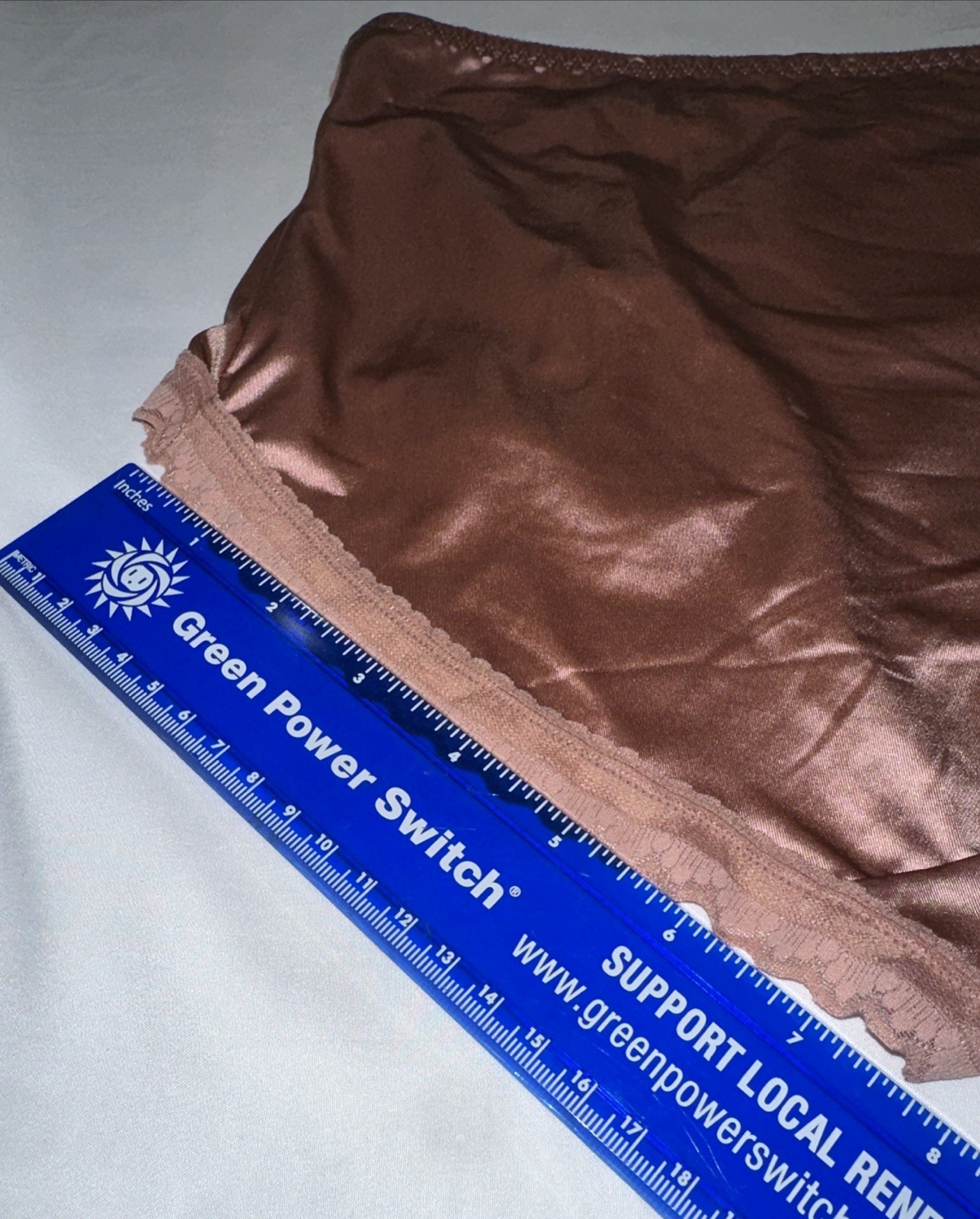 ~Shiny Large Rose Champaign Nylon Lace Blended Panties W/Bows Cotton Gusset New