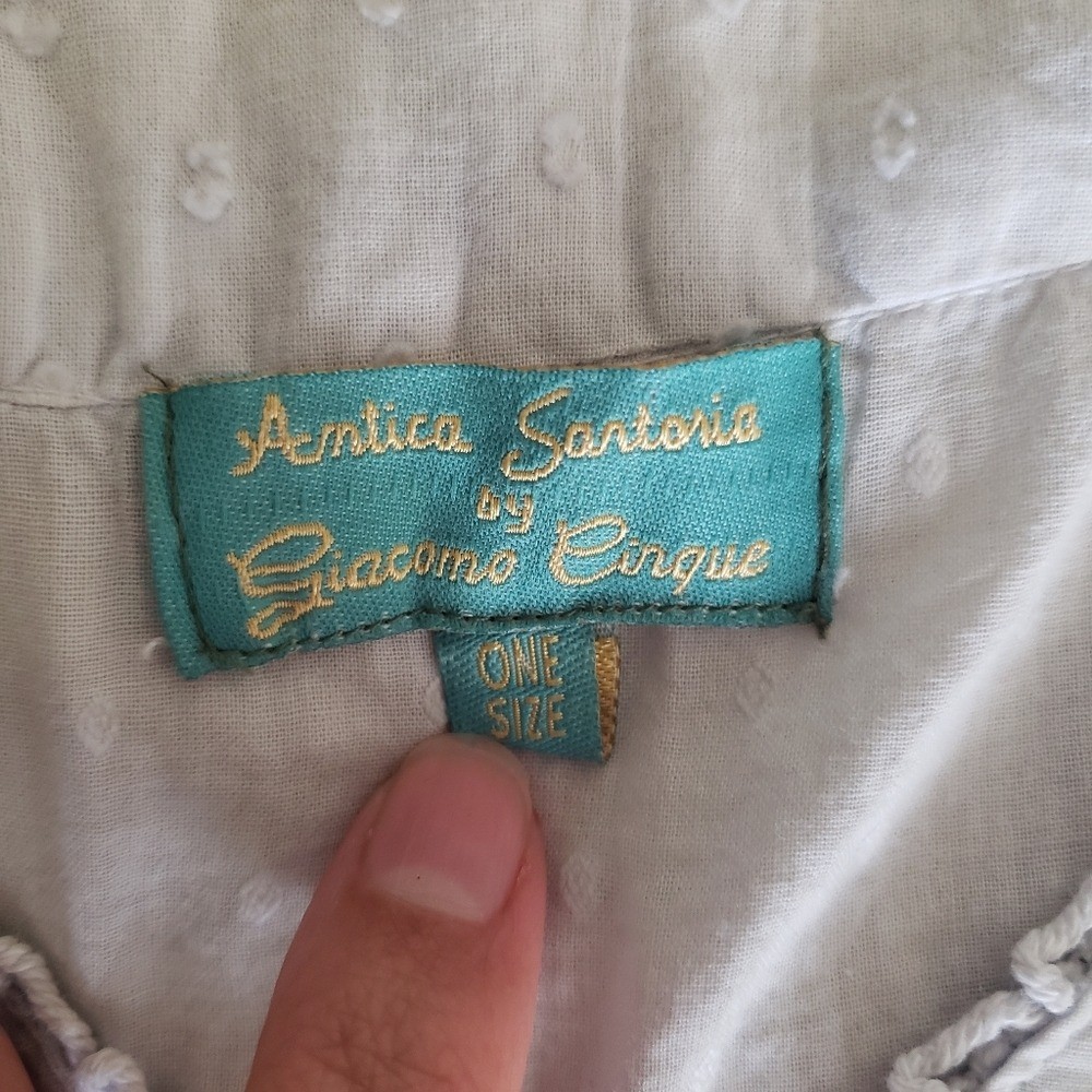 Antica Sartoria Baby Blue Peasant Blouse with Taupe Floral Embroidery One Size