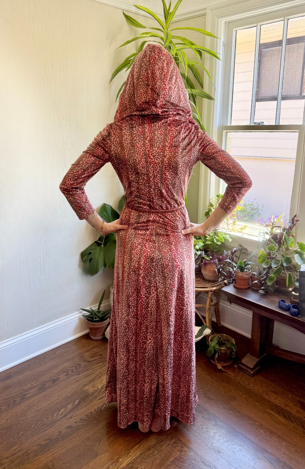 Vintage 1970s Velour Hooded Maxi Dress Witchy Disco Goddess by Carlye