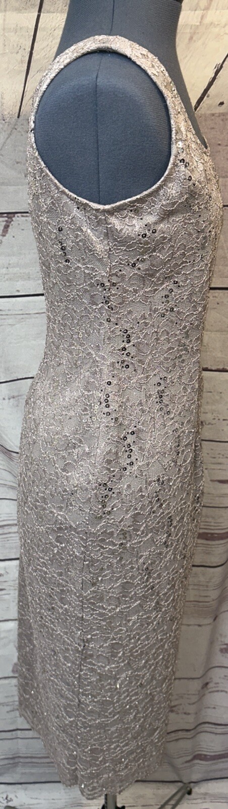 Alex Evenings 2-Piece Evening Sequin/Lace Dress Sliver Size 10