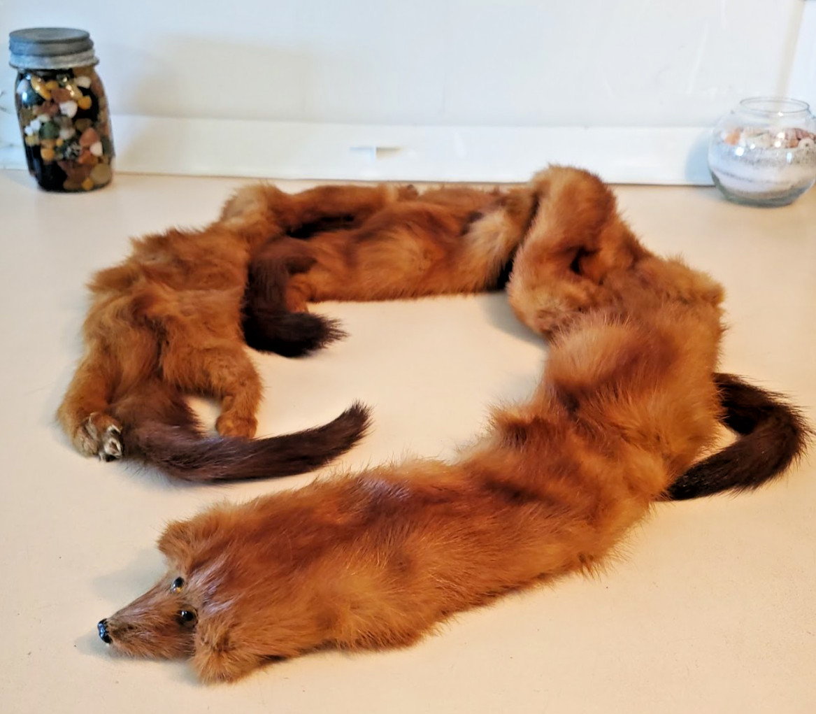 Vintage MINK FUR Stole Scarf Wrap. 4 minks attached together 4ft. Soft Supple
