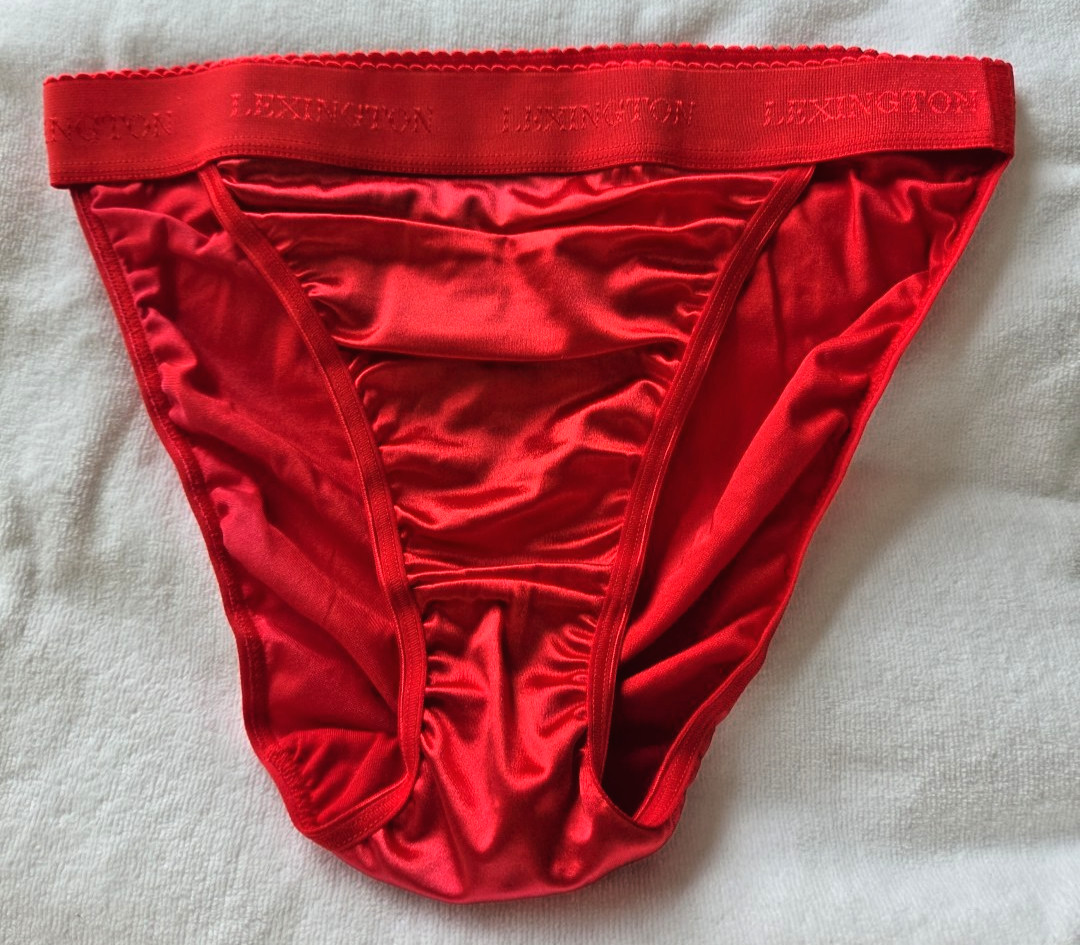 Rio Satin Panty Wide Waistband Red nylon PANTIES M shine!!!!