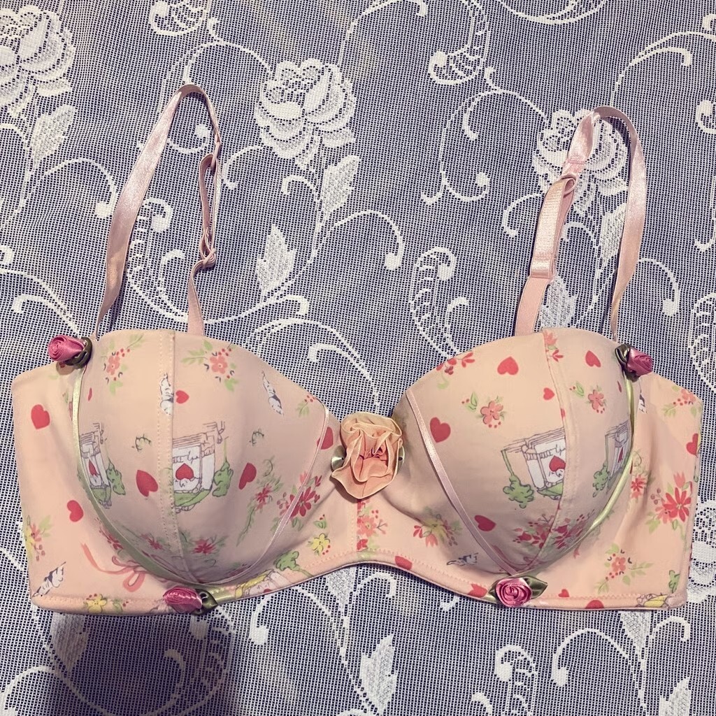 Hillard & Hanson 38D Intimates Coquette Romantic Feminine Rosette Balconette Bra
