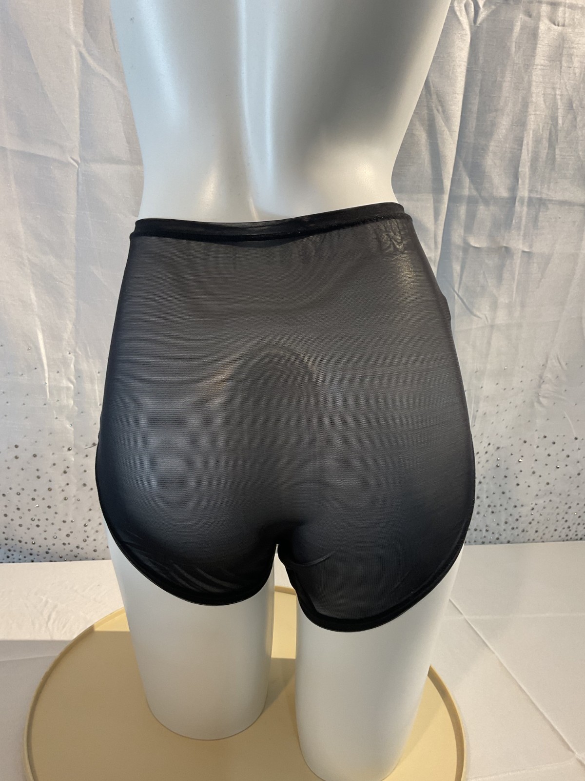 DONNA KARAN Intimates vintage NWT BLACK Sheer Brief Panties size L large
