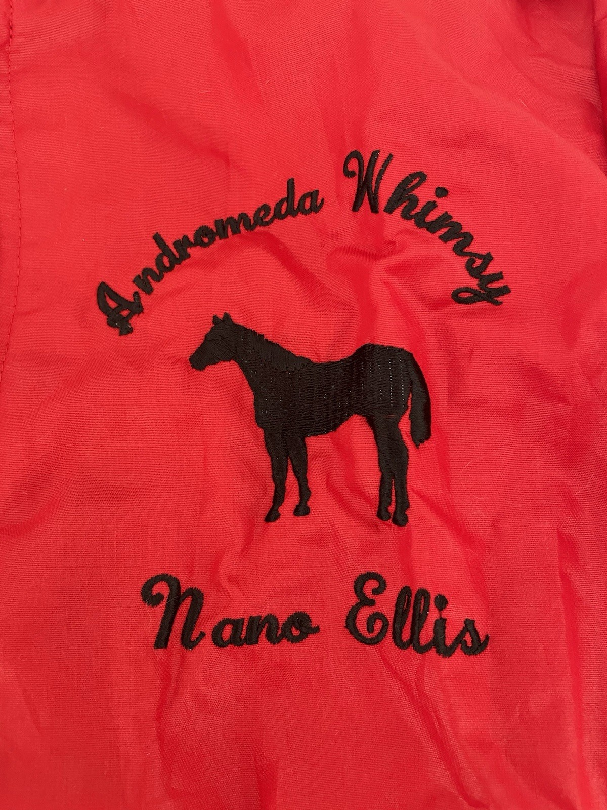 Rare Vintage 80s Red Bomber Jacket Avanti XS 14/16 Horse Riding Andromeda Whimsy