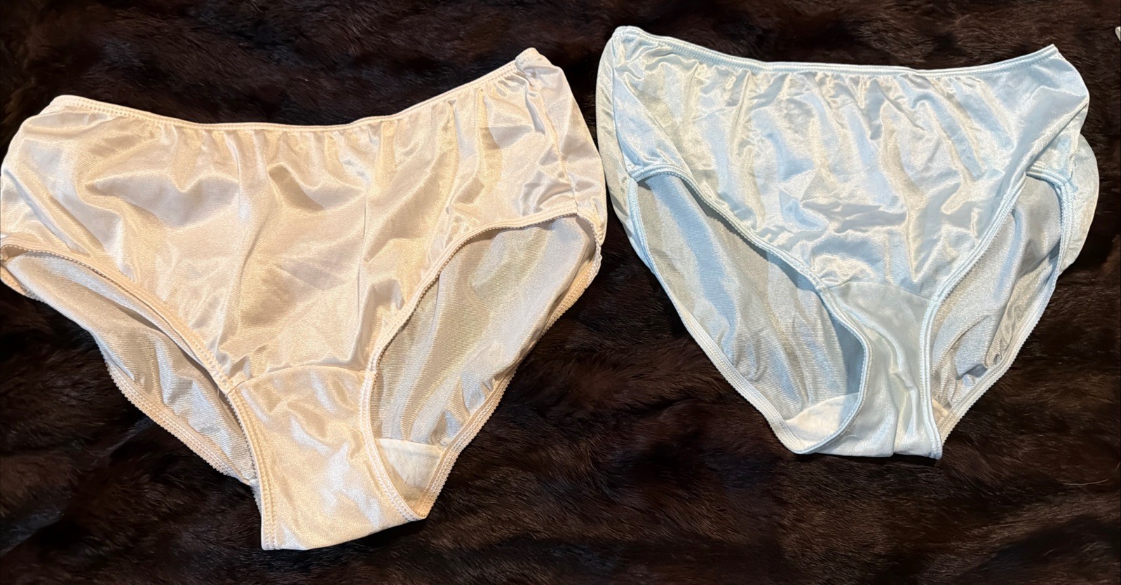 VTG High-Waisted Granny Panties Nylon Size 7 Sheer LEGGS Ivory & Blue Silky