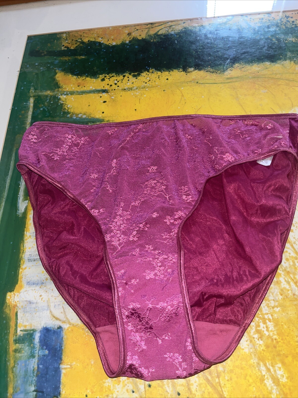 Vintage Lane Bryant Cacique 14/16 Second Skin High Leg Satin Lace Front Panty