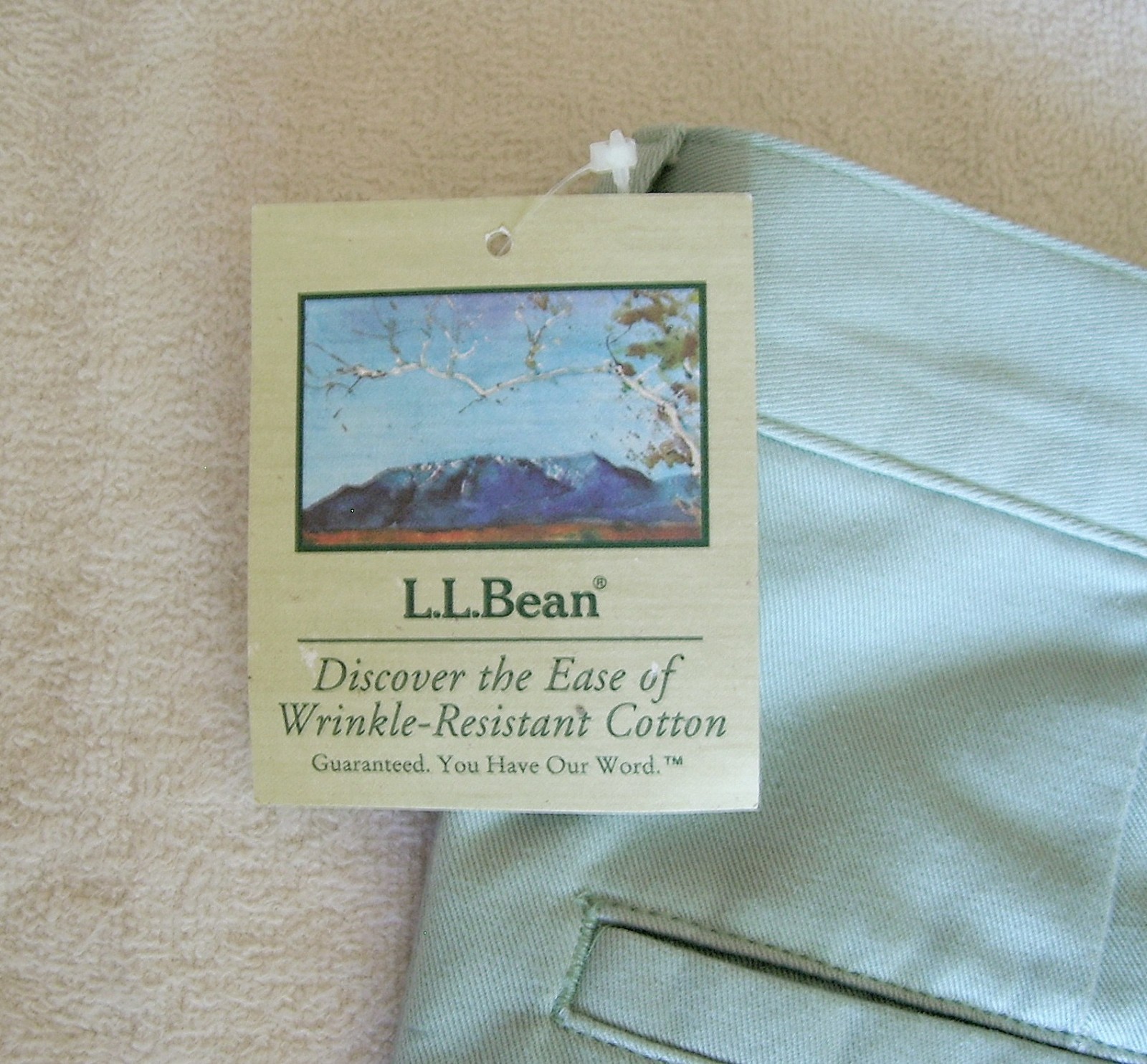 Y2K L.L. BEAN AQUA/SEAGLASS BLUE FLAT FRONT 100% COTTON CHINO PANTS~SZ 4 MT~NWT