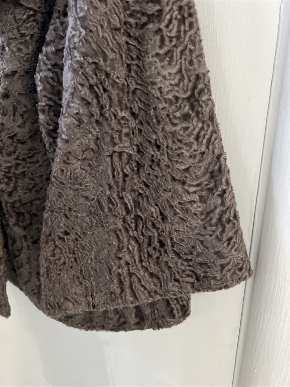 Vintage Gassmans Chicago jacket& Fur Collar