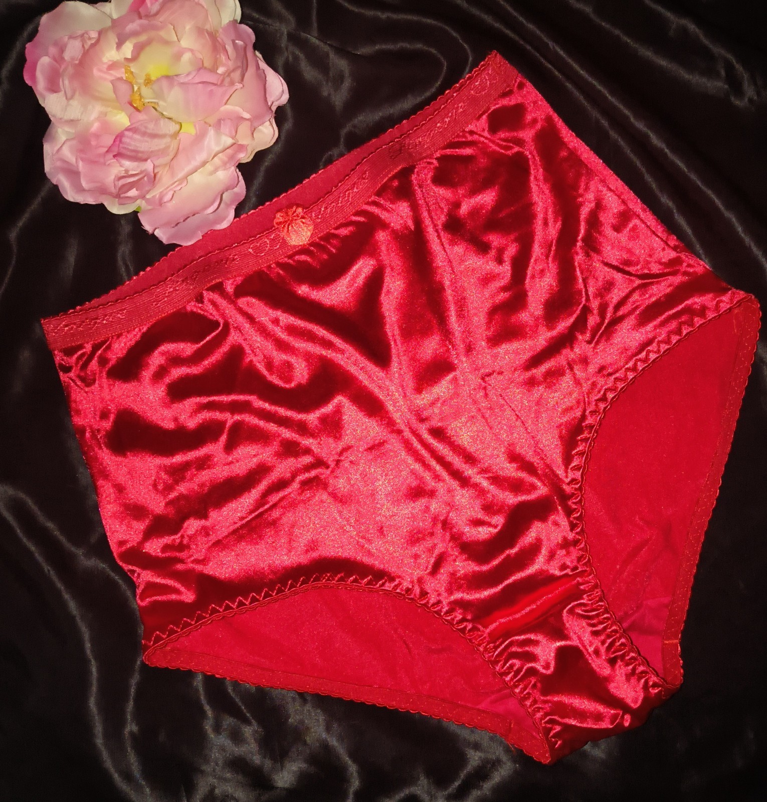 Vintage NWOT Liquid Second Skin Satin Shine Granny Brief Panties XL- RED 🍒