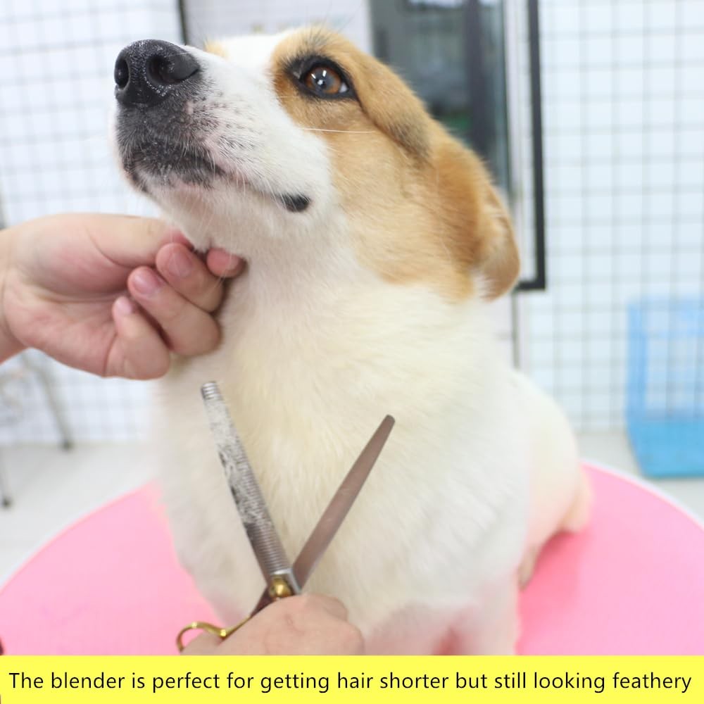 HASHIMOTO Thinning Shears for Dogs, Dog Thinning Shears for Grooming, 46 Teeth,