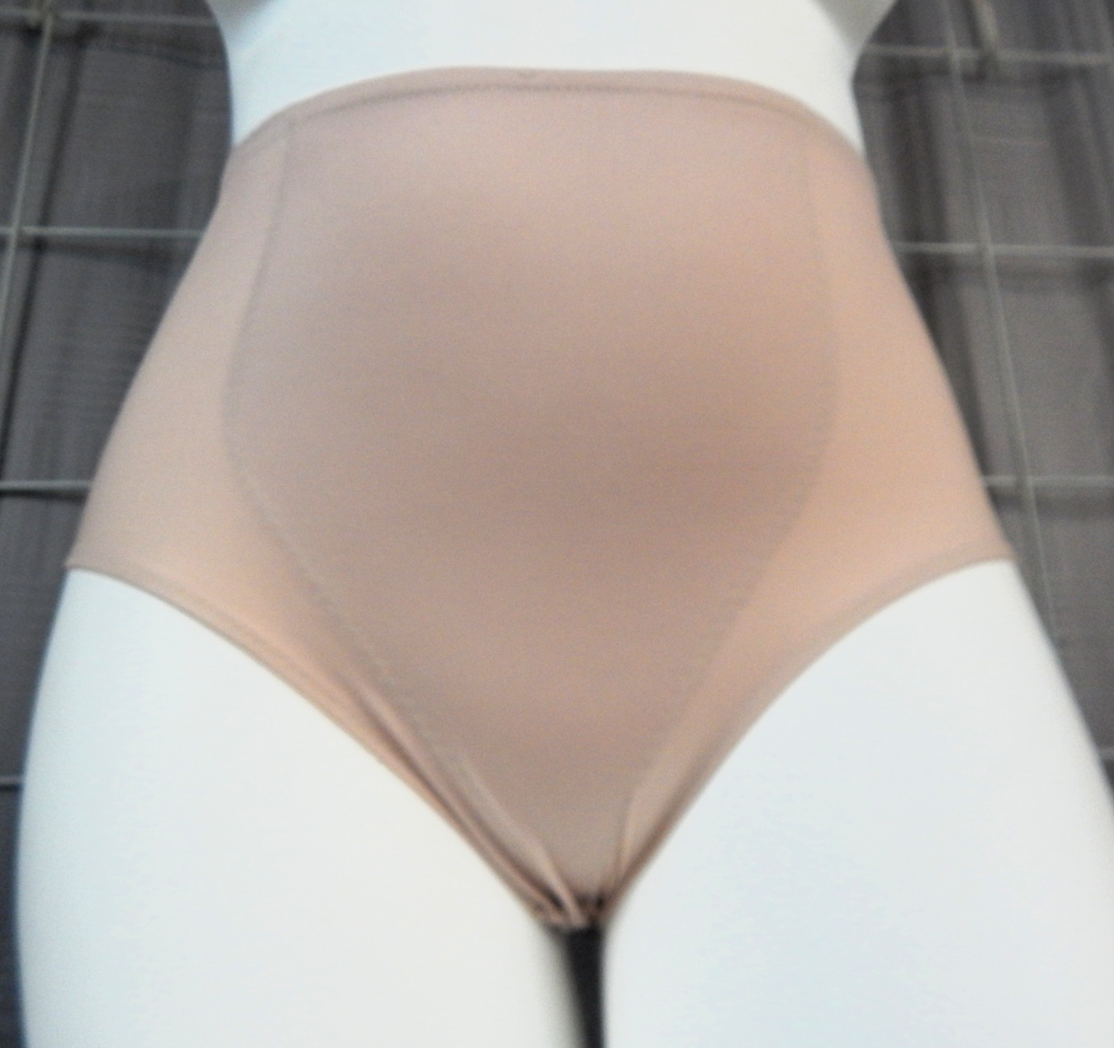 DR. Robert Rey Instant Shape Nude Firm Control Brief Style Girdle, Size 1X