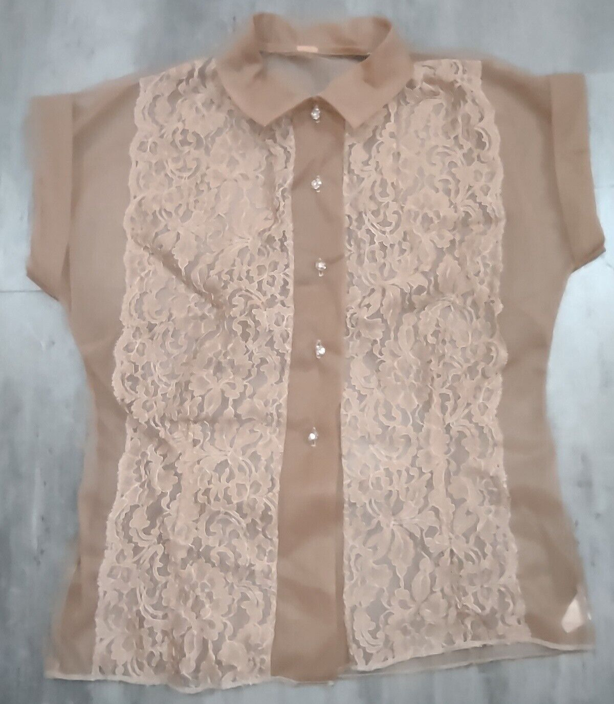 Vintage Women&rsquo;s Strutwear Sheer Lace Nylon Short Sleeve Top Size 32