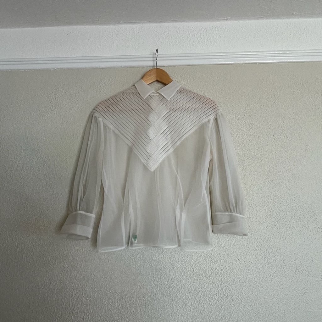 Vintage 1950s Sheer Nylon Pleated Chevron Yoke Blouse