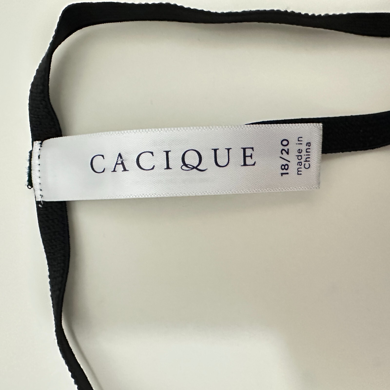 Cacique String Thong Panty 100% Silk Size 18/20 Black Sexy G-String Sheer