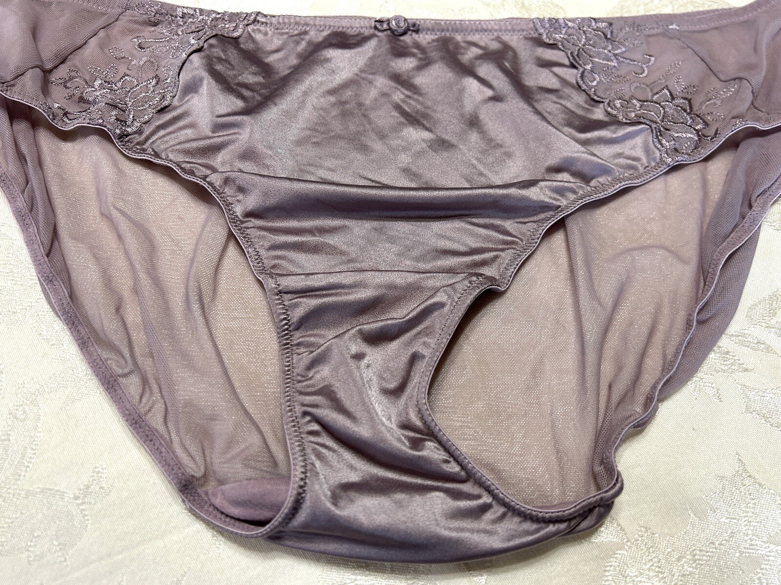 Vtg CACIQUE Second Skin Satin Embroidered Sheer Mesh 18/20 Brief Panties #162