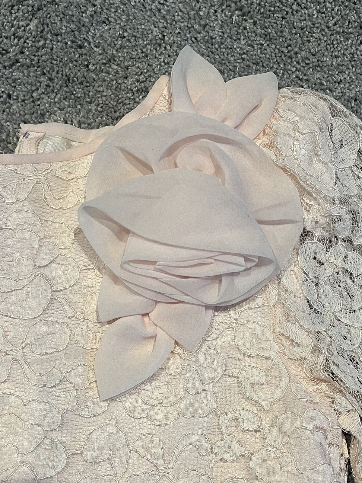 Vintage Scott McClintock Blush Pink Dress Lace Drop Waist Size 8 Pretty In pink!