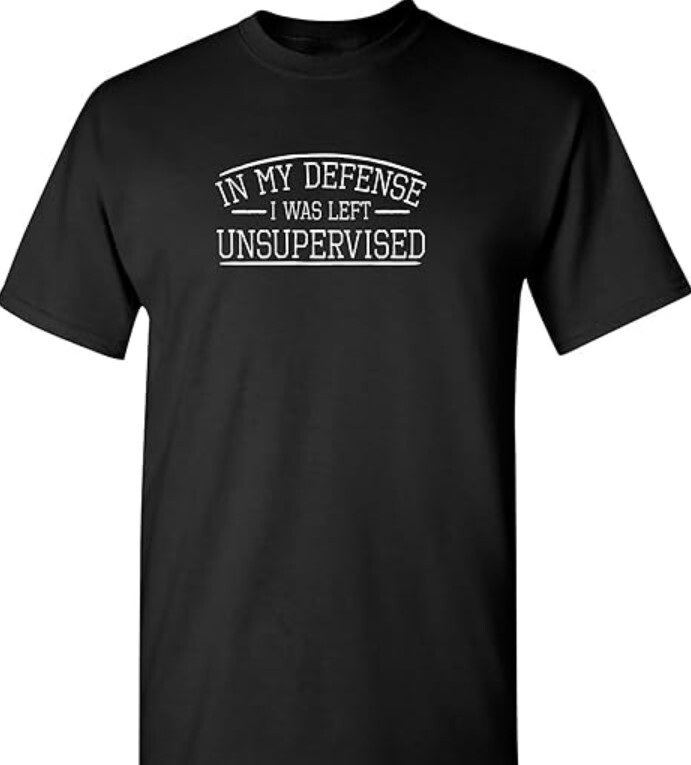 in My Defense I was Left Unsupervised Novelty Gag Gift Funny T Shirt for Anyone