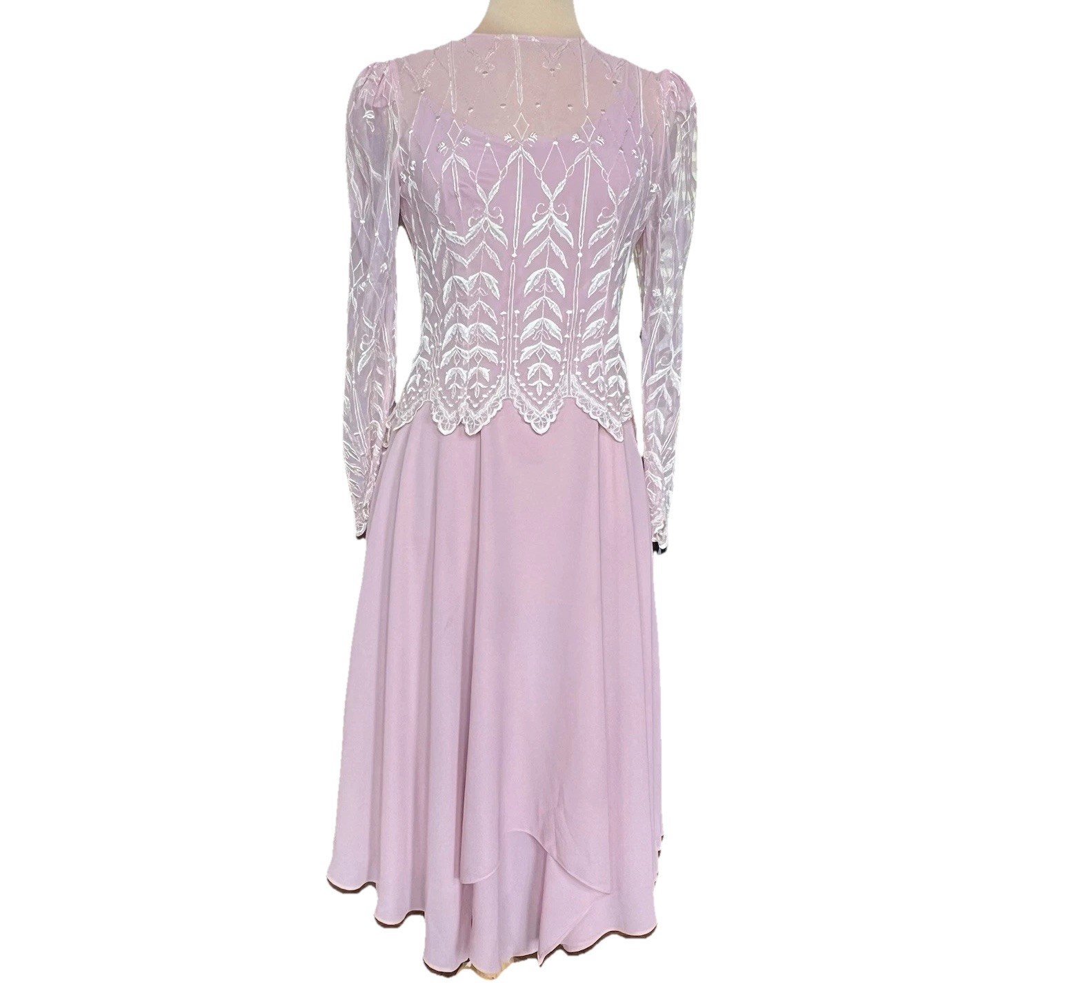 Vintage Cachet Bari Protas Pink Rose Dress 7/8 Sheer Embroidered Formal Gown
