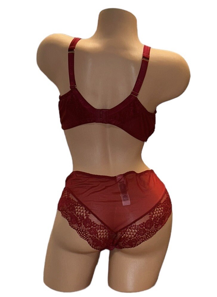 2PC AUTOGRAPH Deep Red Shiny Silky Sheer Satin Lace Panties & Bra 38DD NWOT