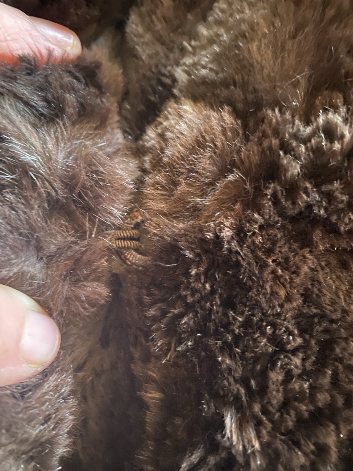 Vintage Womens I.R. FOX Brown Simulation Faux Fur Cape Shawl Wrap Stole New York