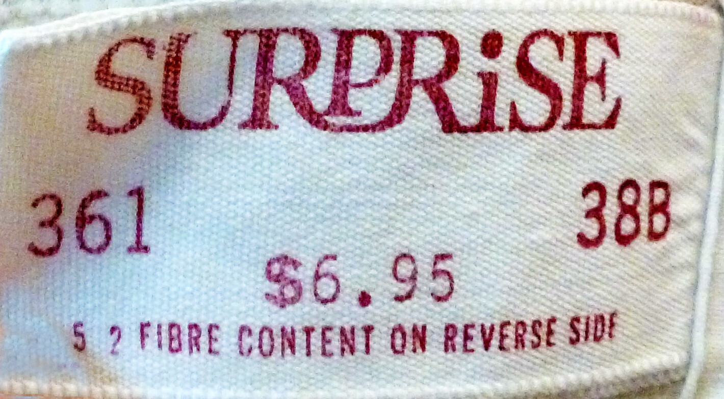 SURPRISE IVORY SHEER LIGHTLY BONED UNDERWIRE CUPS LONGLINE BRA 38B VGVC 361