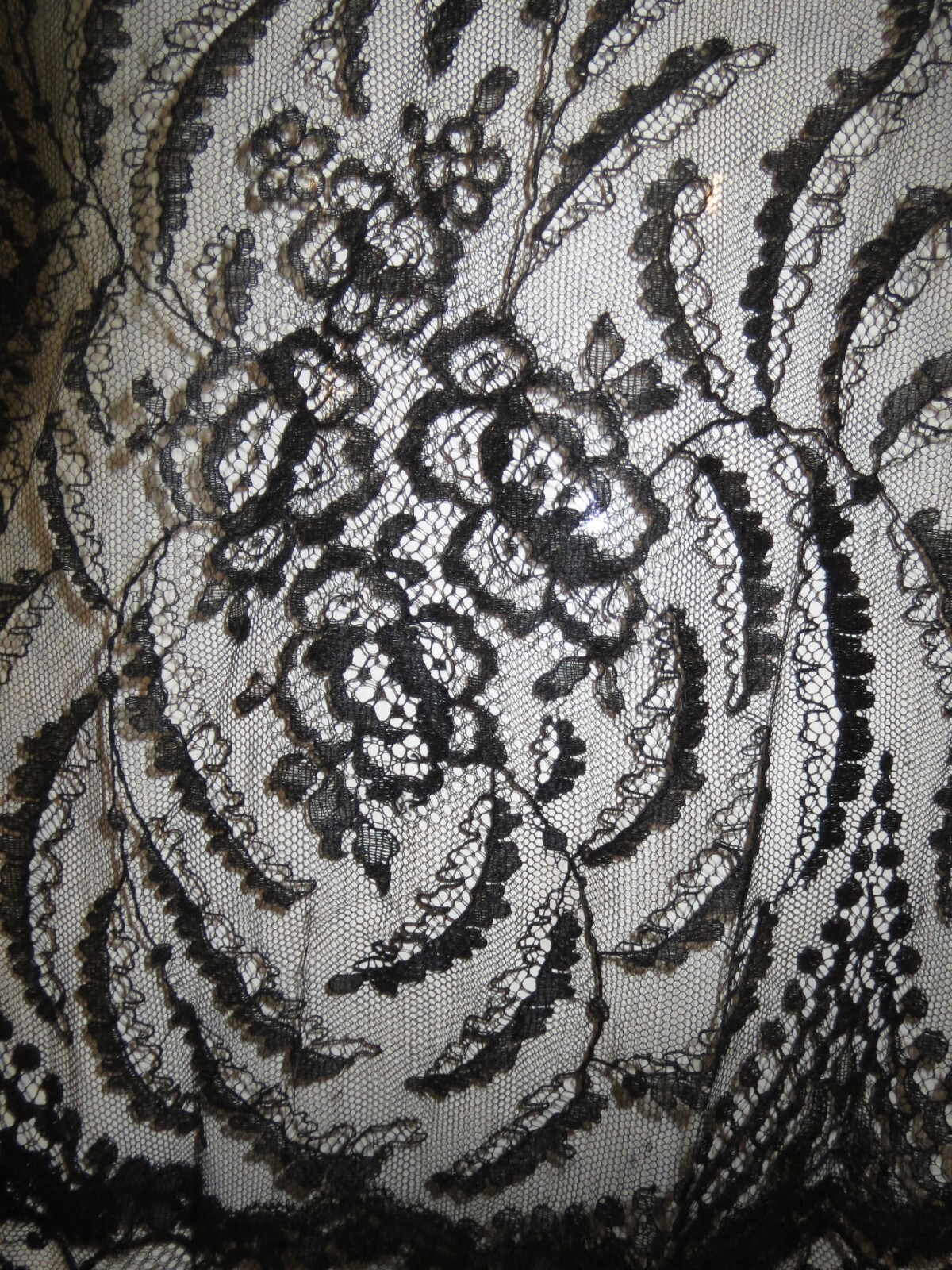 Antique Edwardian Gown + Jacket Chantilly Lace Pleated Back Ex Cond
