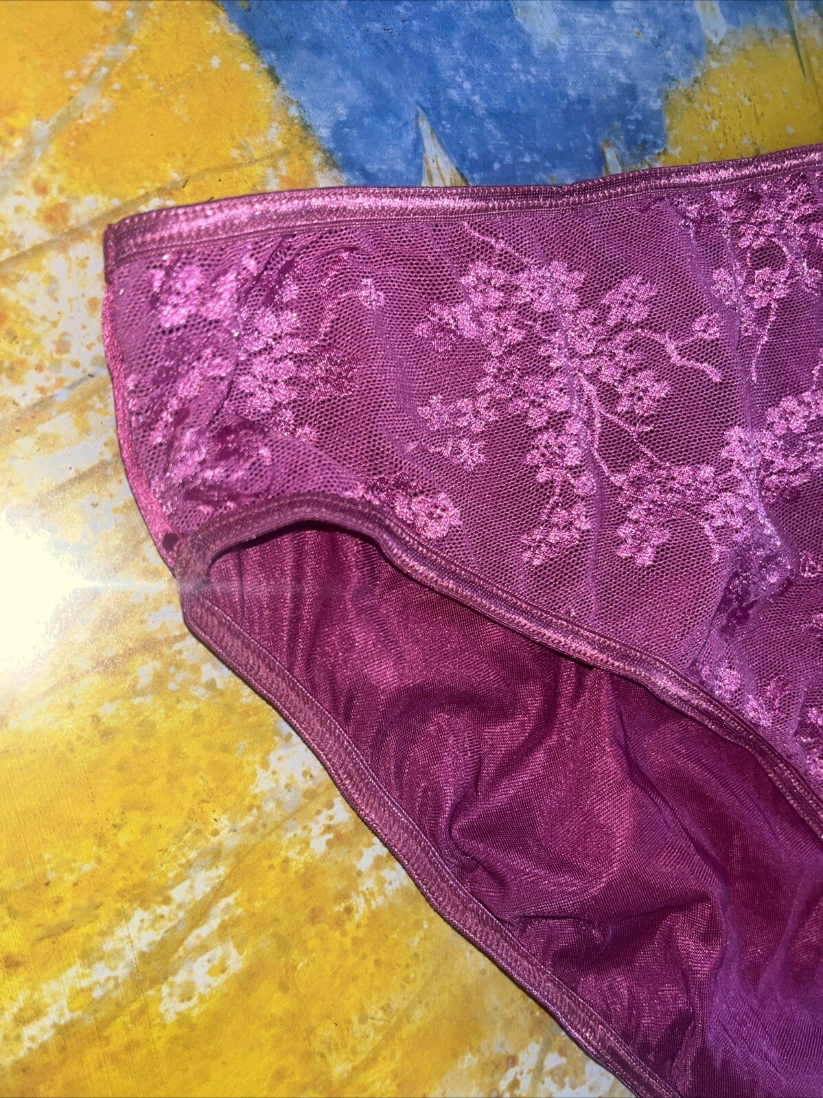 Vintage Lane Bryant Cacique 14/16 Second Skin High Leg Satin Lace Front Panty
