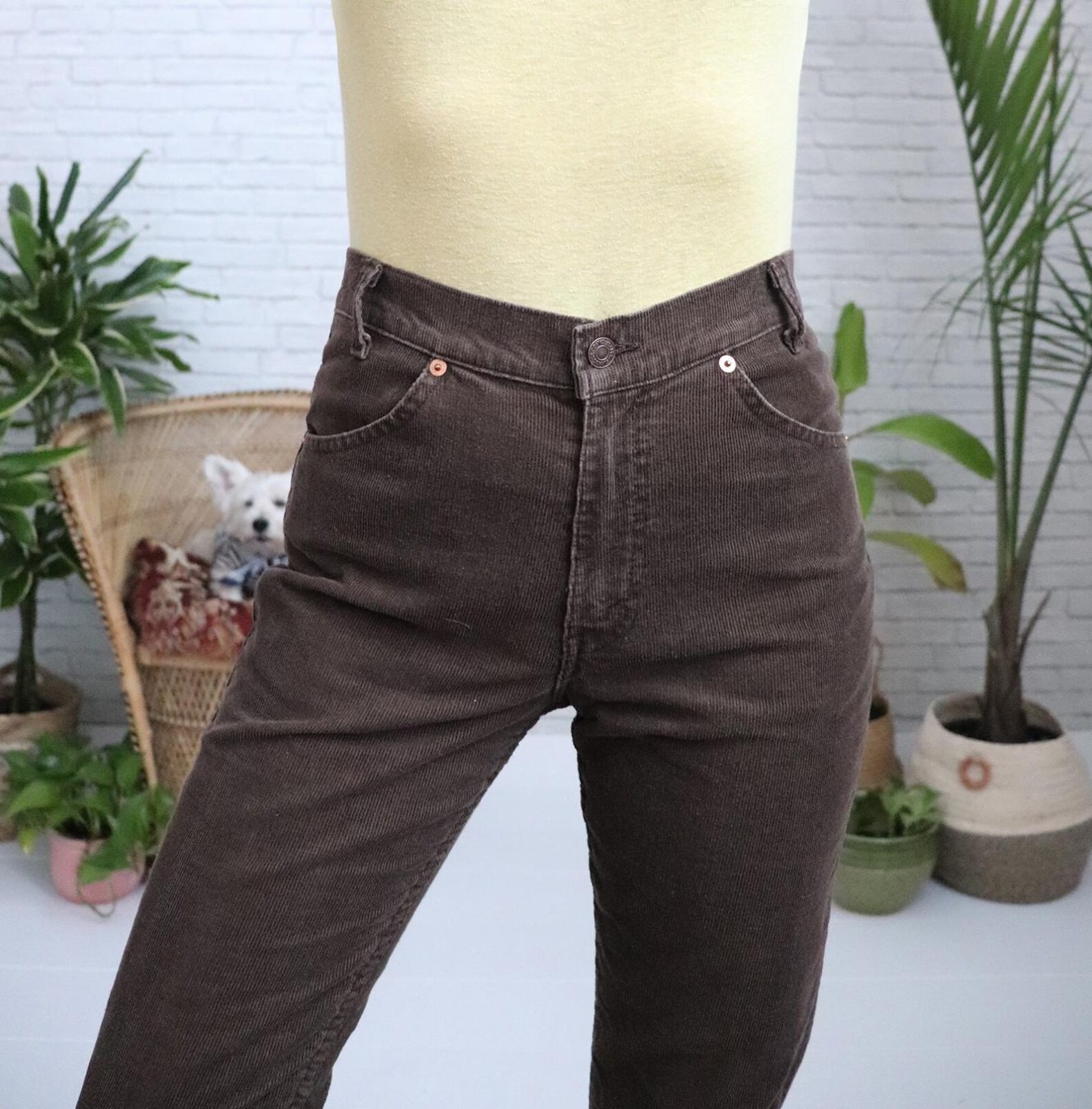 70s Brown Levi s Corduroys | 29 Waist x 33 Length | Vintage Deadstock Pants