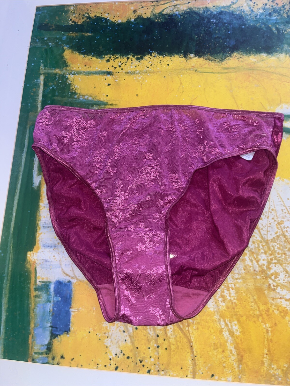 Vintage Lane Bryant Cacique 14/16 Second Skin High Leg Satin Lace Front Panty