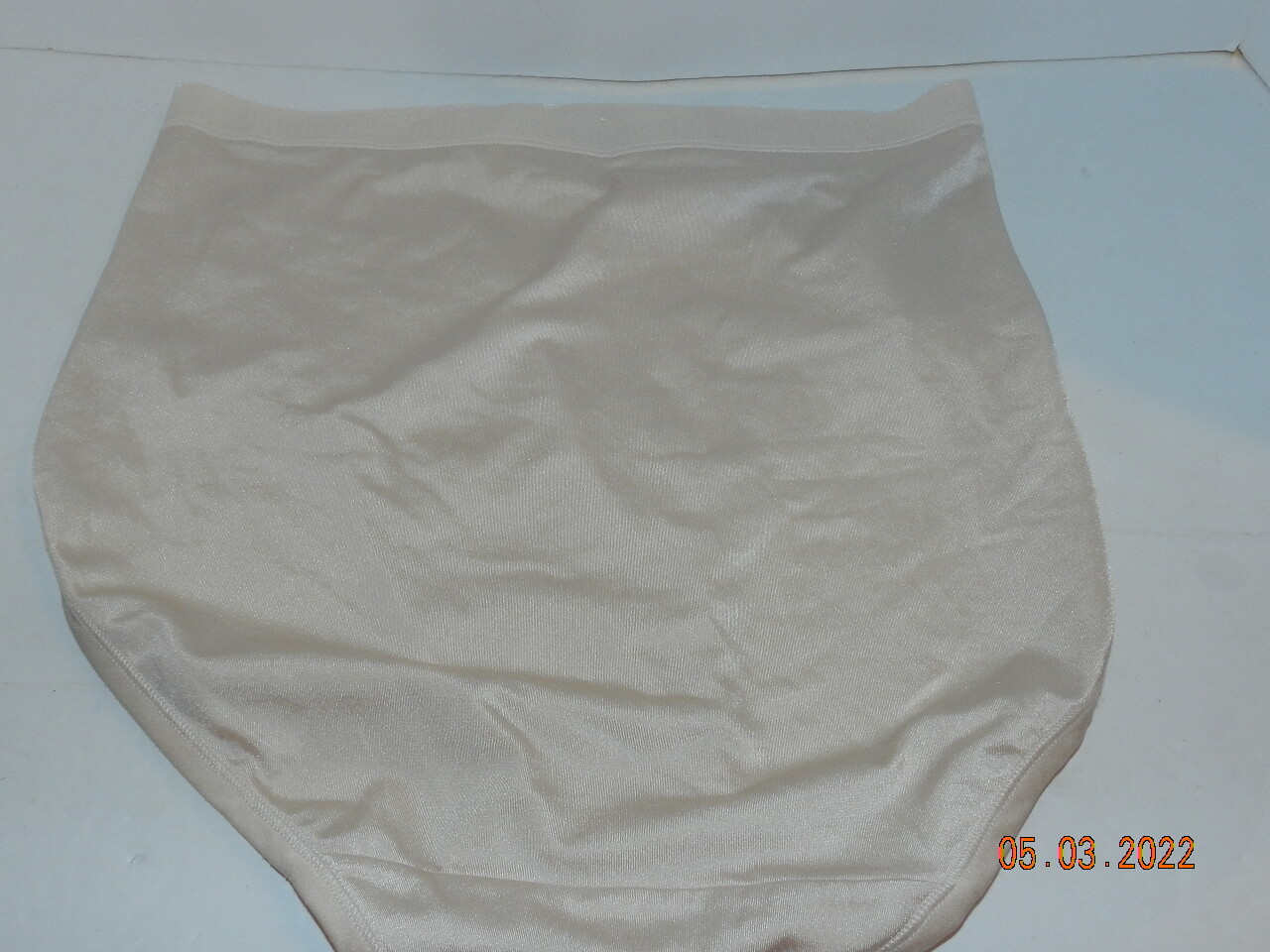 Beige Nude Breezies Briefs Second Skin Panties size L Logo Band sissy womens