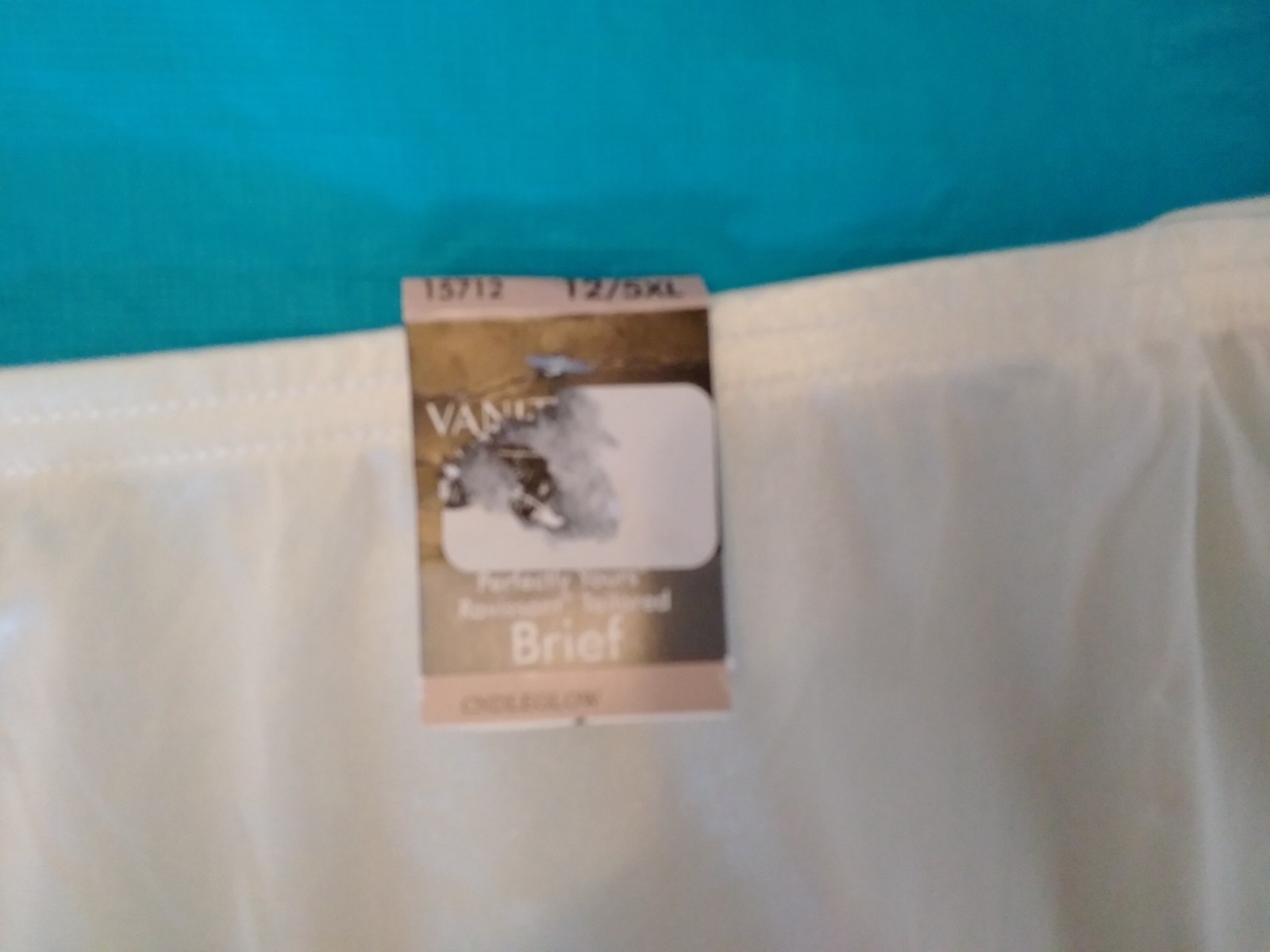Panties VANITY FAIR Ivory Silky Nylon Granny Panties SZ 12 5XL