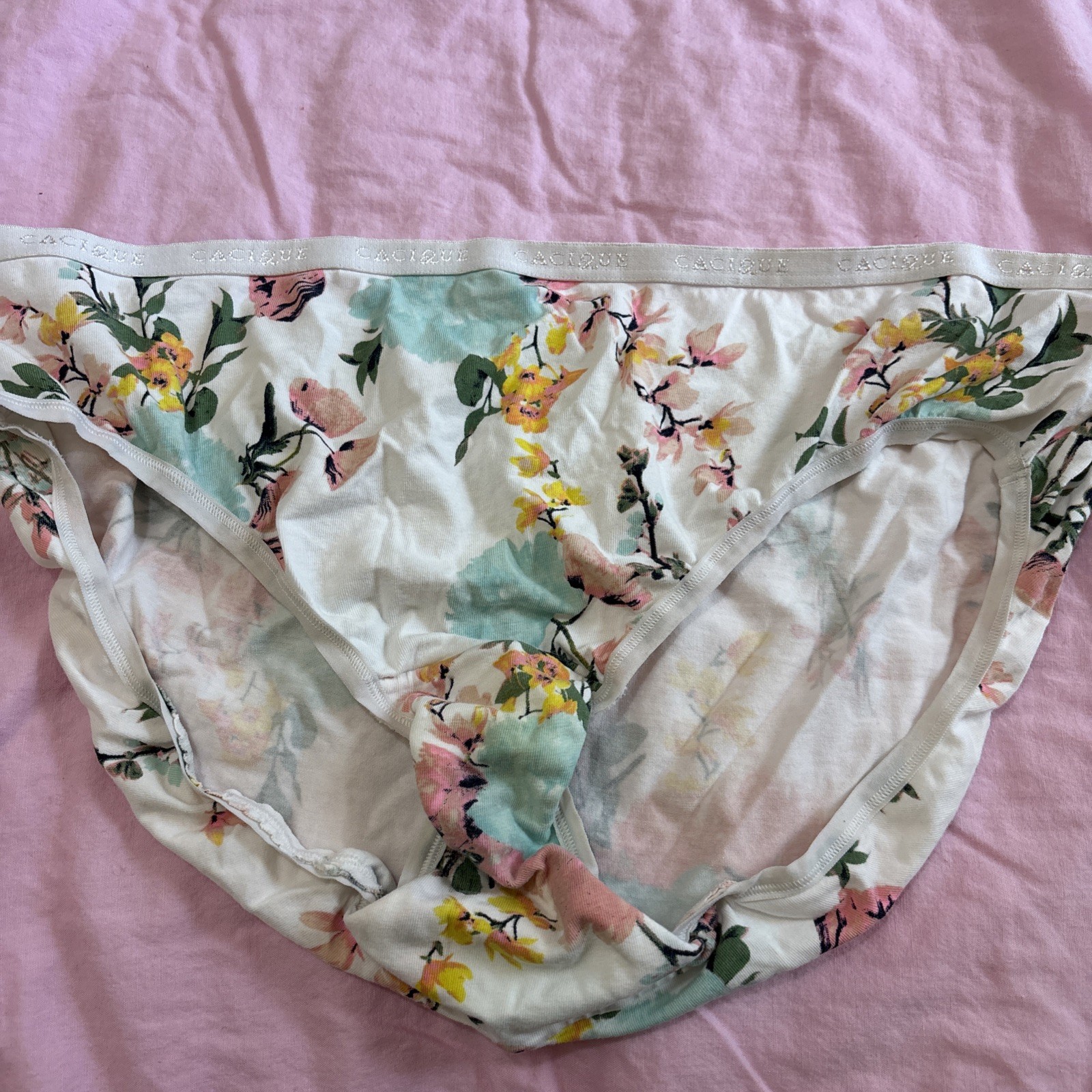 Vintage CACIQUE Pantis #009