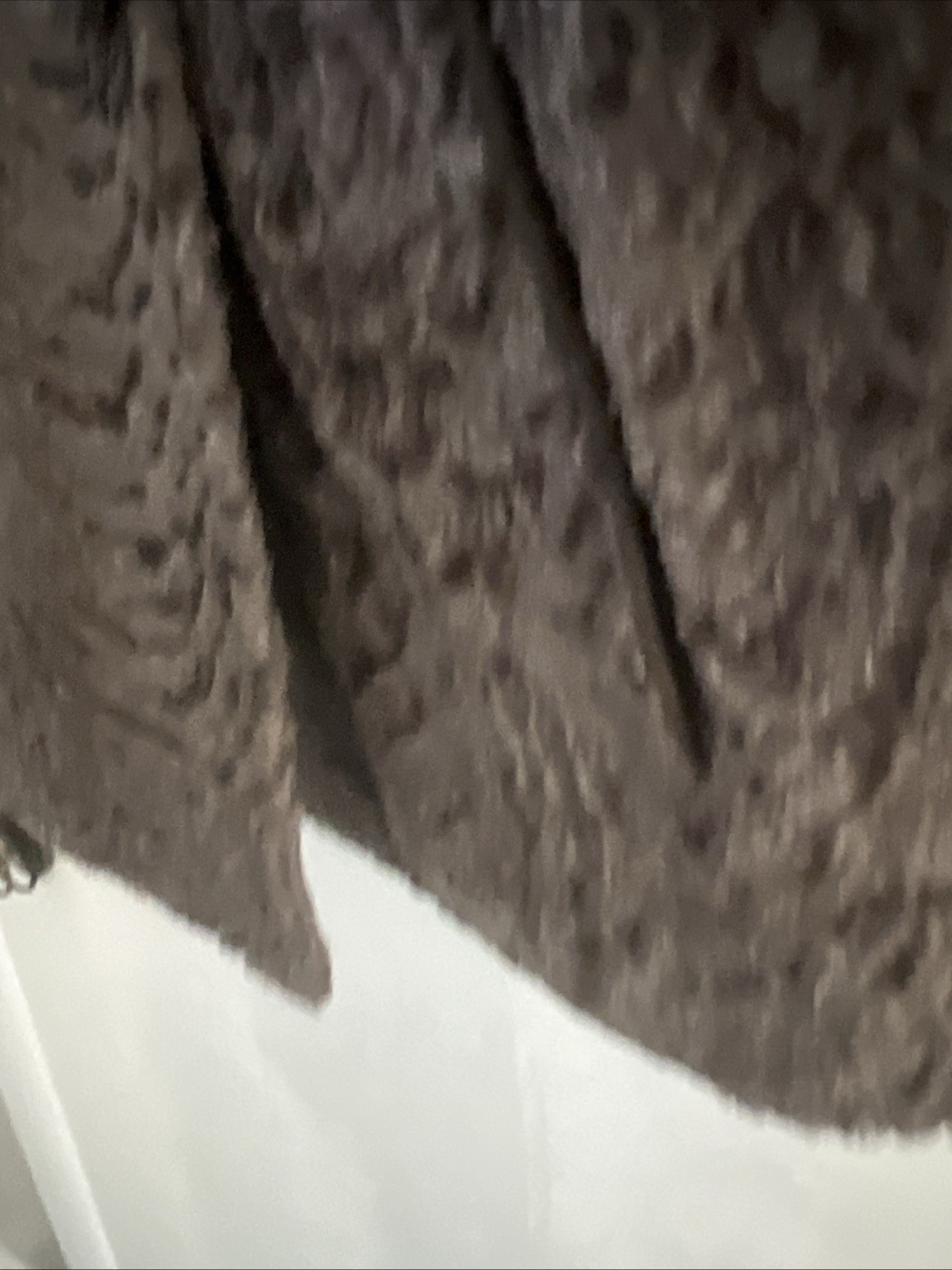 Vintage Gassmans Chicago jacket& Fur Collar