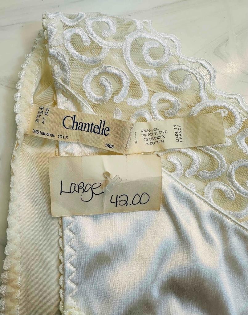 Vintage CHANTELLE Luxurious Chantilly Sheer Lace Bikini Panties Sz Large