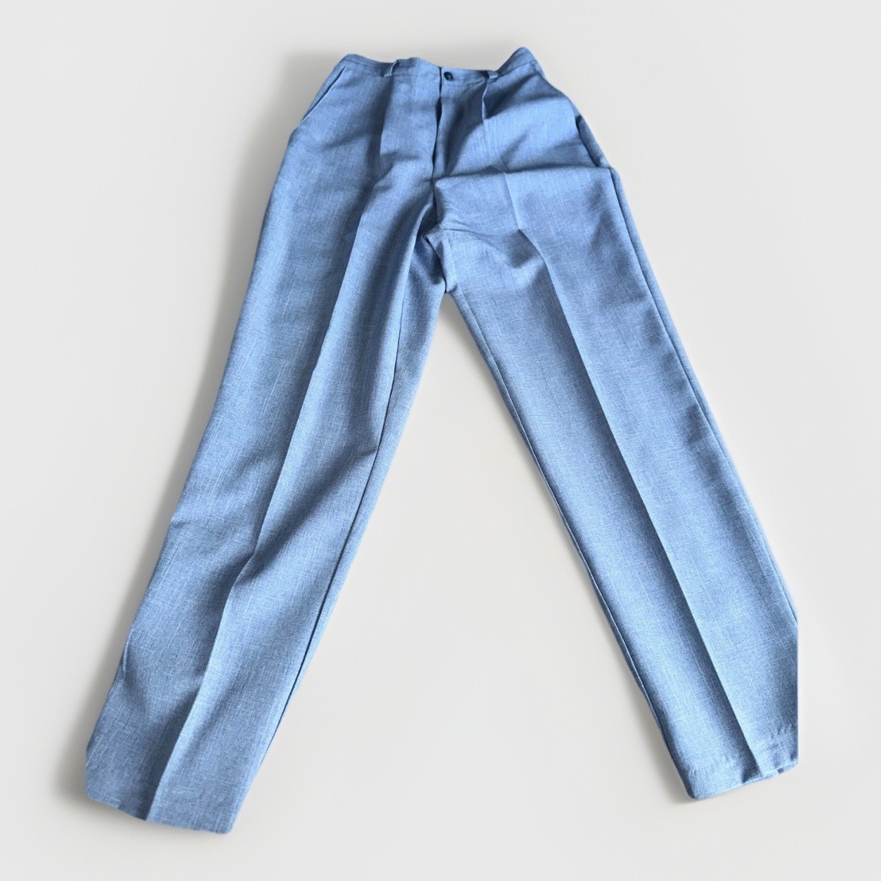 Briggs New York Baby Blue Flat Front Dress Pants Size 6 Regular 669-R68 Pastel